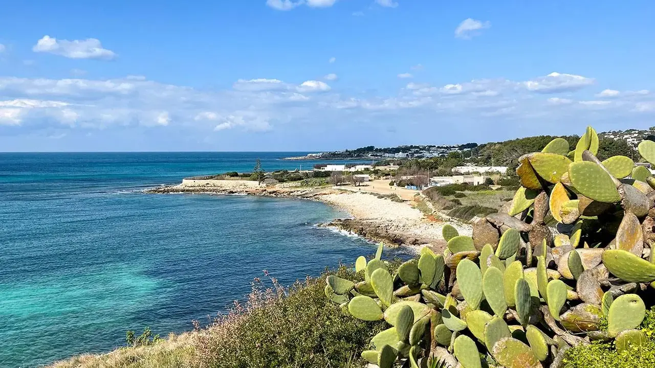 Vista sul mare cristallino e una costa rocciosa con fichi d'India. Ideale per scoprire dove alloggiare in Salento.