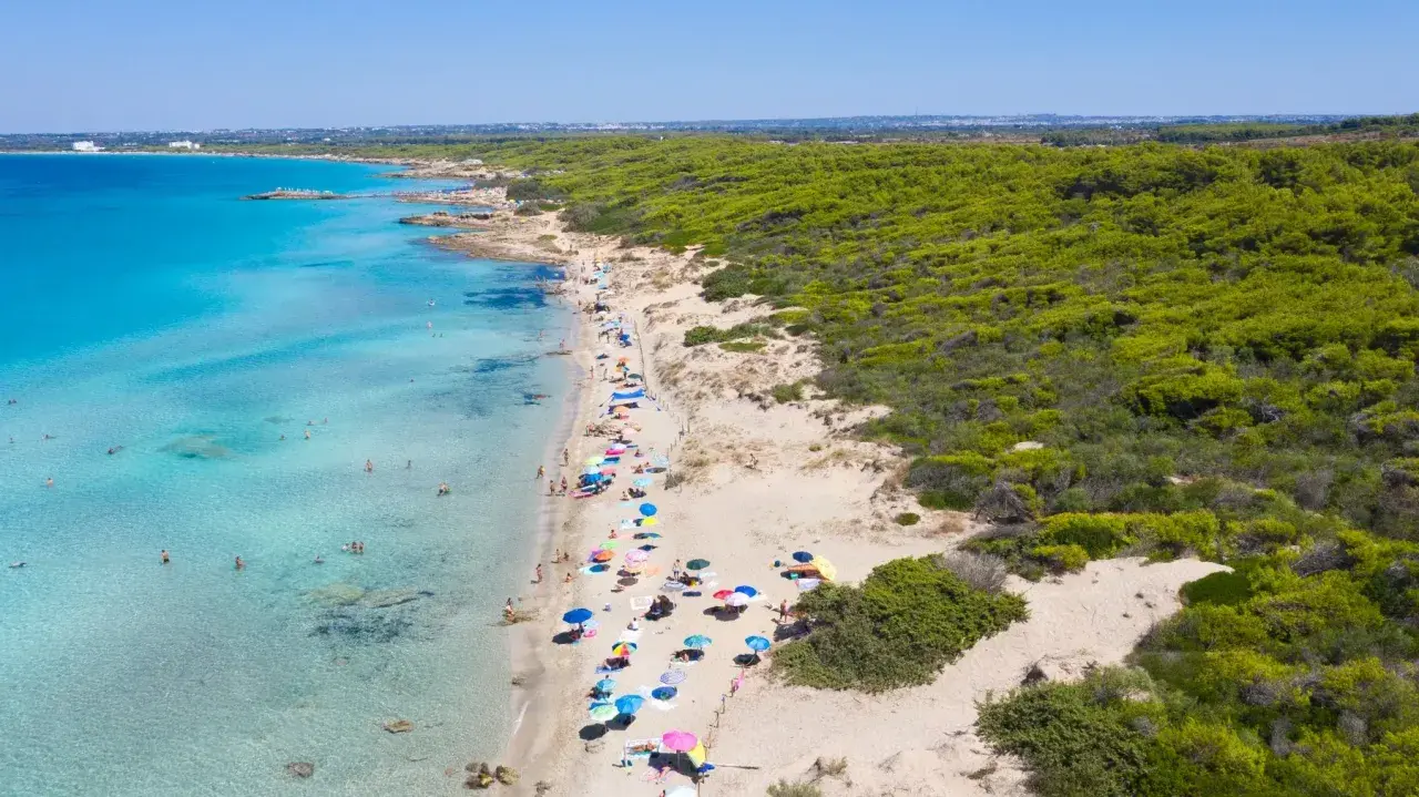 Un tratto di costa con acque cristalline e sabbia dorata, tra le spiagge più belle di Gallipoli. Ombrelloni colorati e bagnanti godono del sole.