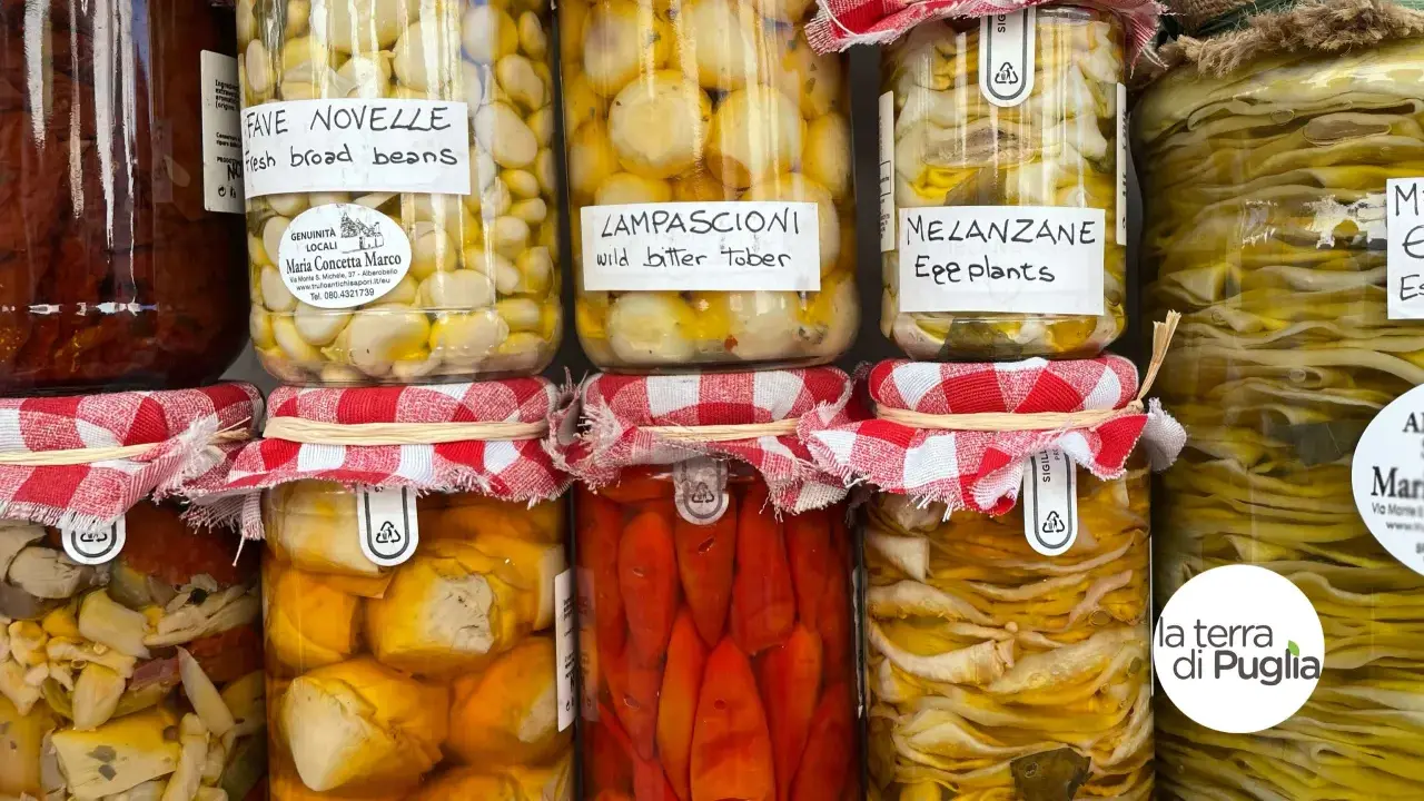 Vasi di **piatti tipici pugliesi** conservati: fave novelle, lampascioni, melanzane e altro. Sapori autentici in ogni barattolo.