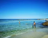 Spiaggia calette di Salve con gente che nuota e un cane che gioca nell'acqua cristallina sotto un cielo azzurro.
