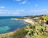 Vista sul mare cristallino e una costa rocciosa con fichi d'India. Ideale per scoprire dove alloggiare in Salento.