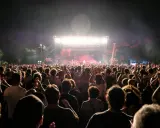 Folla entusiasta ai concerti Salento, luci sul palco e musica dal vivo.