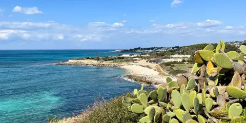 Vista sul mare cristallino e una costa rocciosa con fichi d'India. Ideale per scoprire dove alloggiare in Salento.