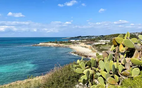 Vista sul mare cristallino e una costa rocciosa con fichi d'India. Ideale per scoprire dove alloggiare in Salento.