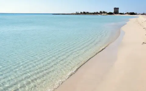 Turquoise water laps a sandy beach with a distant tower.