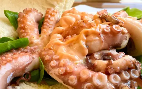 Tentacoli di polpo succulenti, un assaggio della sagra del polpo a Melendugno, serviti con pane croccante e foglie verdi.