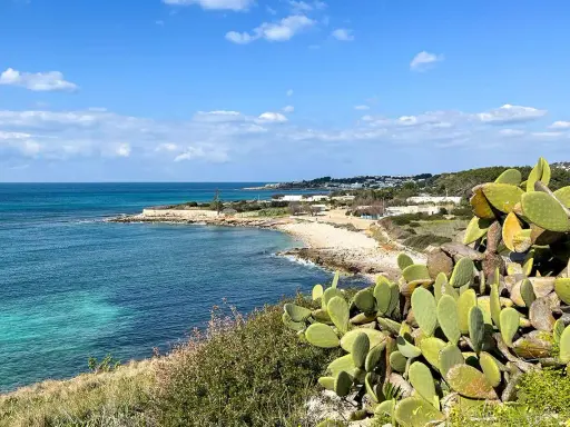 Vista sul mare cristallino e una costa rocciosa con fichi d'India. Ideale per scoprire dove alloggiare in Salento.