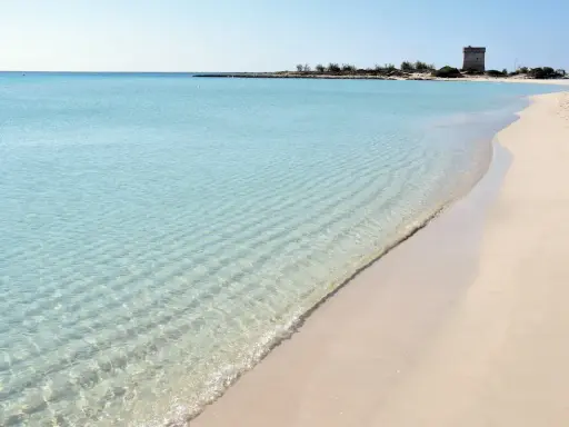 Turquoise water laps a sandy beach with a distant tower.