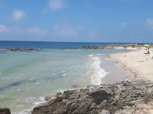 Spiaggia con scogli e mare cristallino, tipica delle calette puglia. Persone in acqua e sulla sabbia, ombrelloni e lettini.