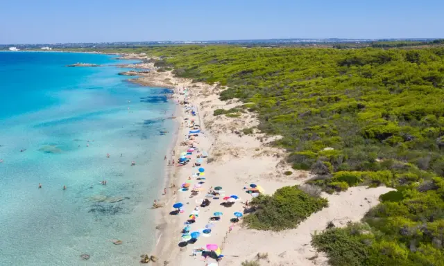 Un tratto di costa con acque cristalline e sabbia dorata, tra le spiagge più belle di Gallipoli. Ombrelloni colorati e bagnanti godono del sole.