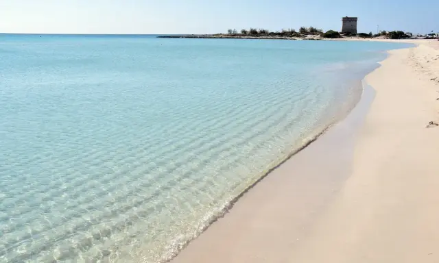 Turquoise water laps a sandy beach with a distant tower.