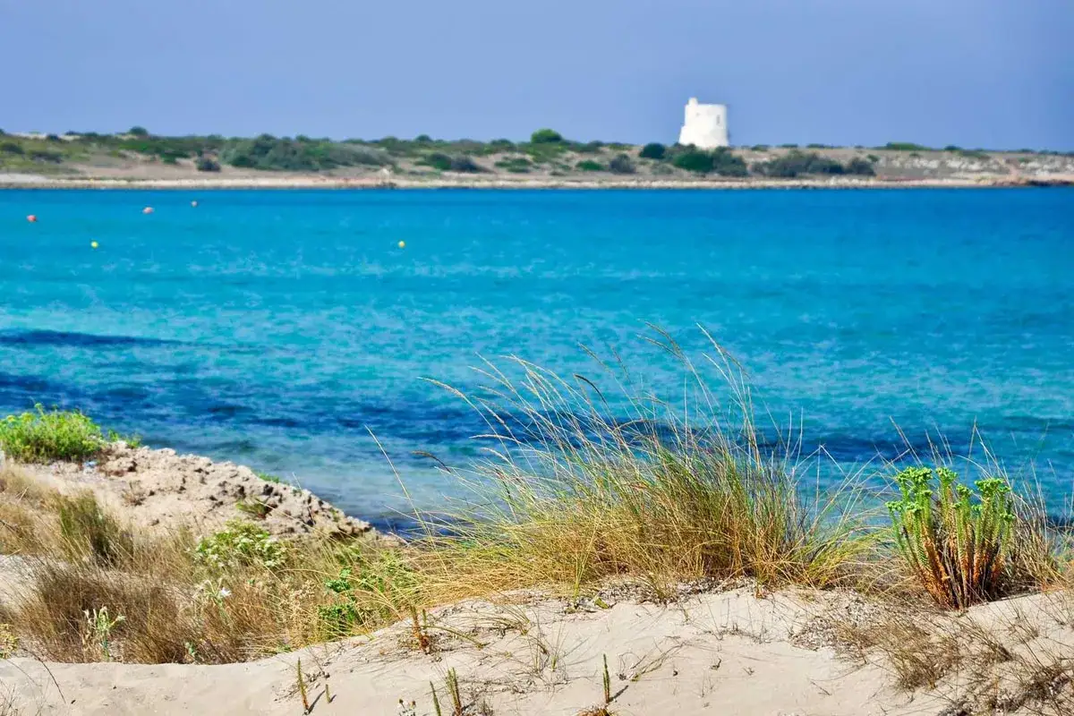 Spiaggia sabbiosa con vegetazione e mare turchese, in lontananza una torre bianca, un paesaggio da cartolina vicino a Gallipoli paese.