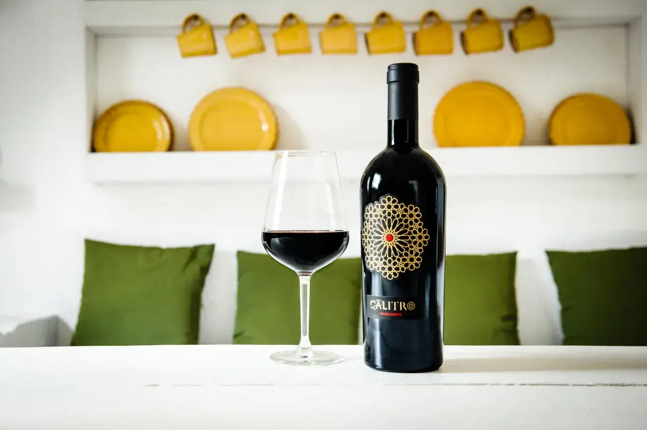 Calitro Negroamaro, un vino rosso intenso, pronto per essere gustato. I vitigni puglia donano questo nettare.