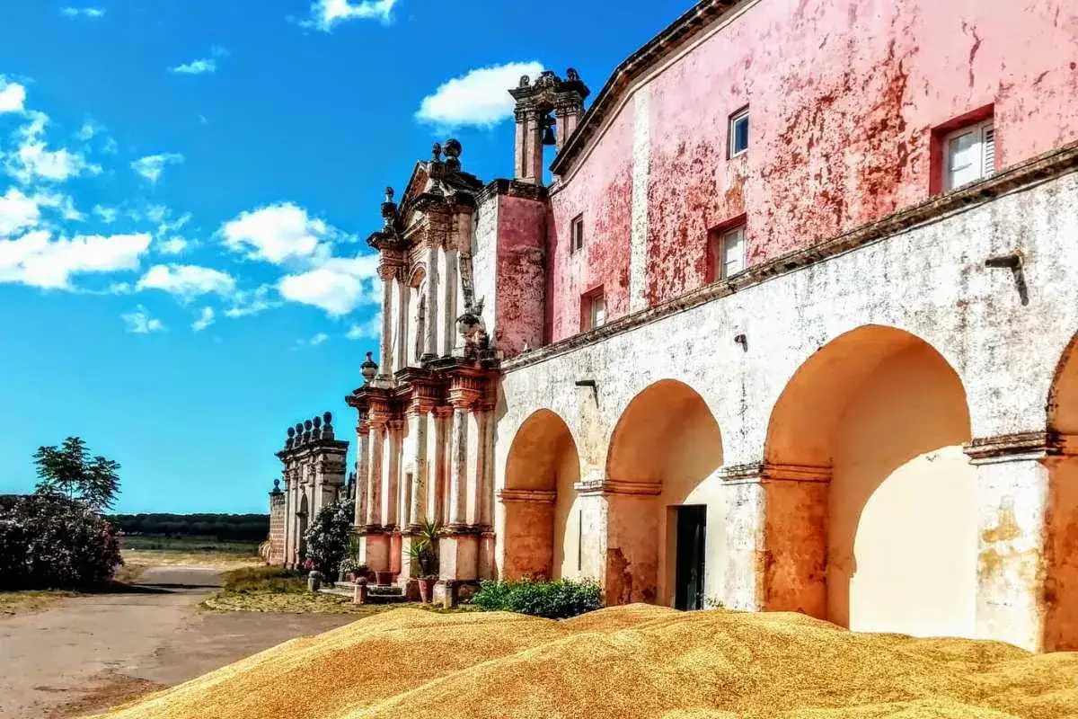 Antico palazzo rosa con portici ad arco, circondato da cumuli di grano dorato, sotto un cielo azzurro con nuvole bianche. Un'immagine che evoca le campagne salentine.