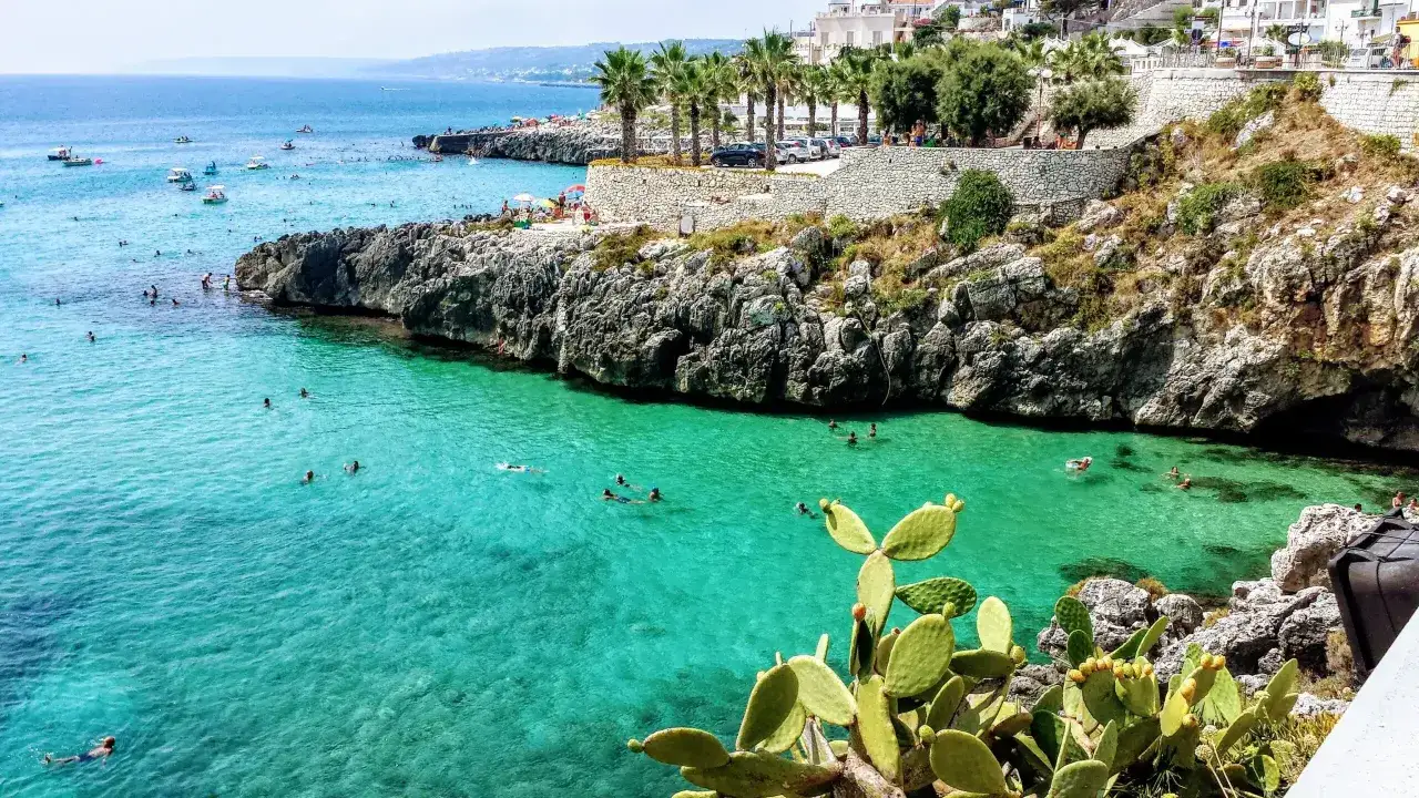 Splendida giornata di sole in Puglia, con gente che nuota e si gode il mare cristallino tra scogli e fichi d'India.